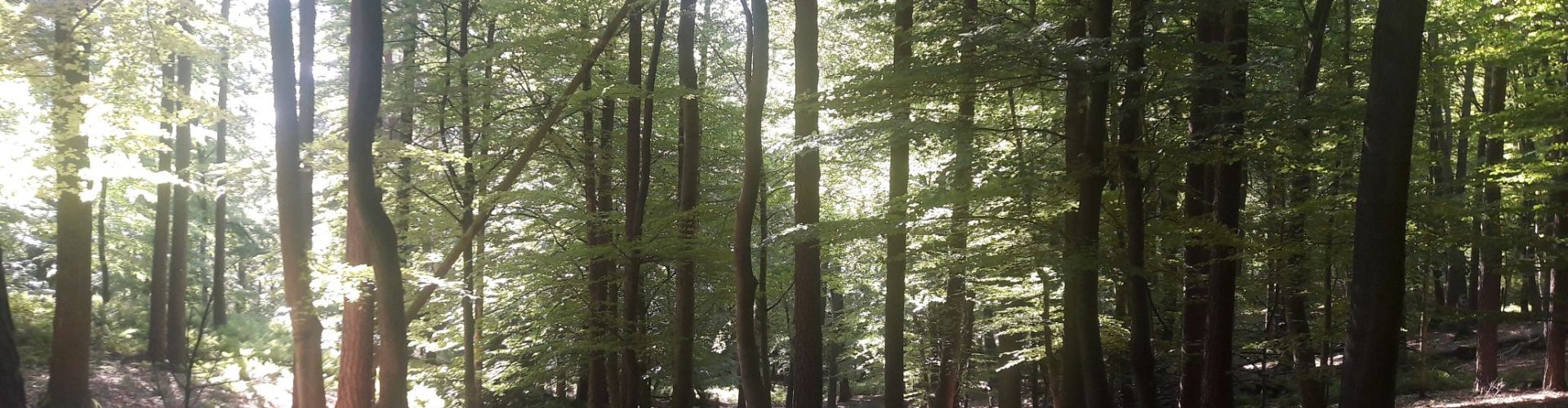 20210531_172247 auf 50